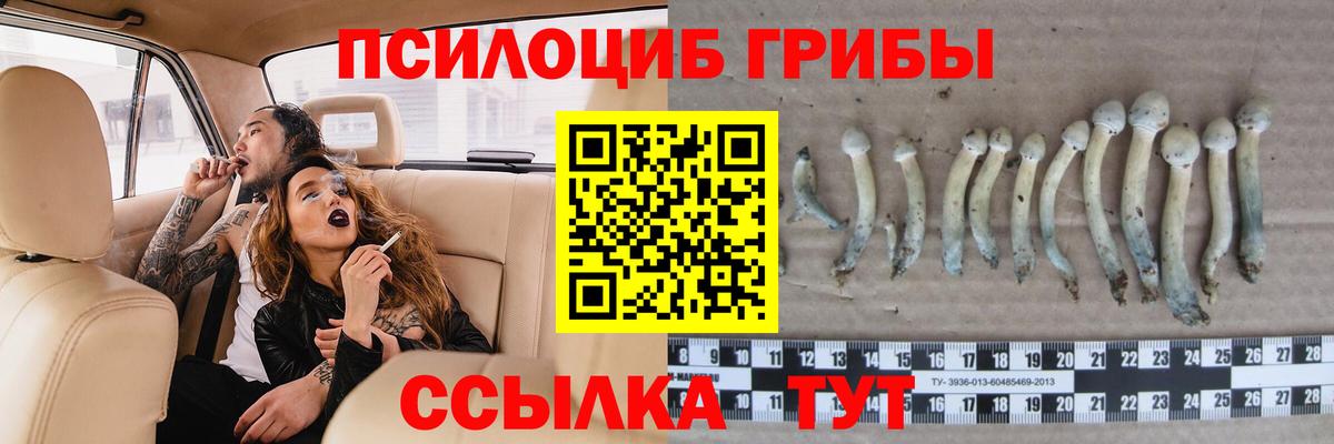 Галлюциногенные грибы ЛСД Майский