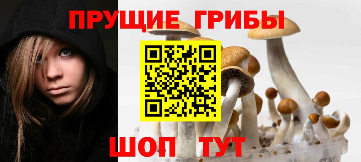 Галлюциногенные грибы Magic Shrooms  Вход с VPN  Майский 